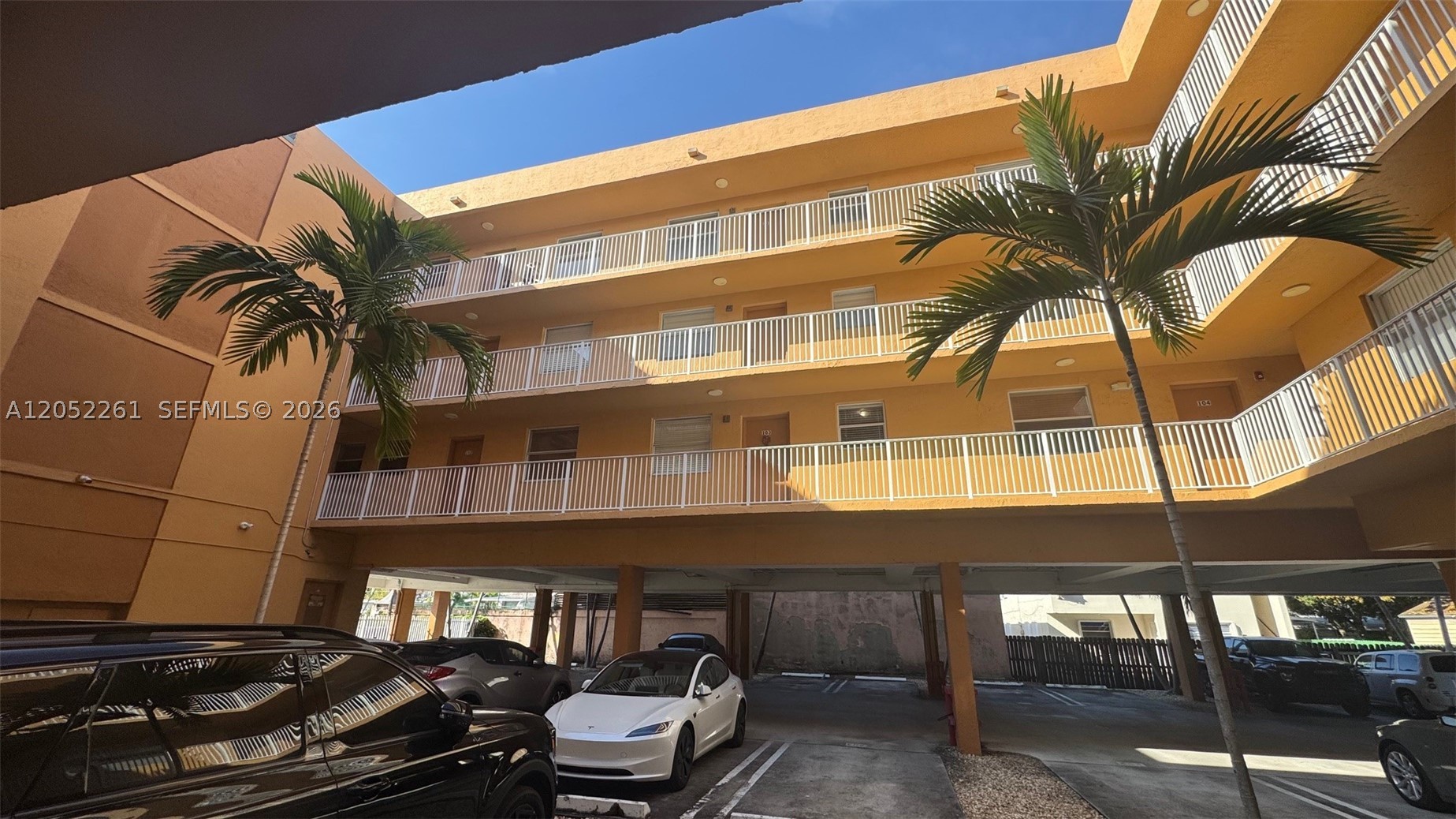 Miami photo 3