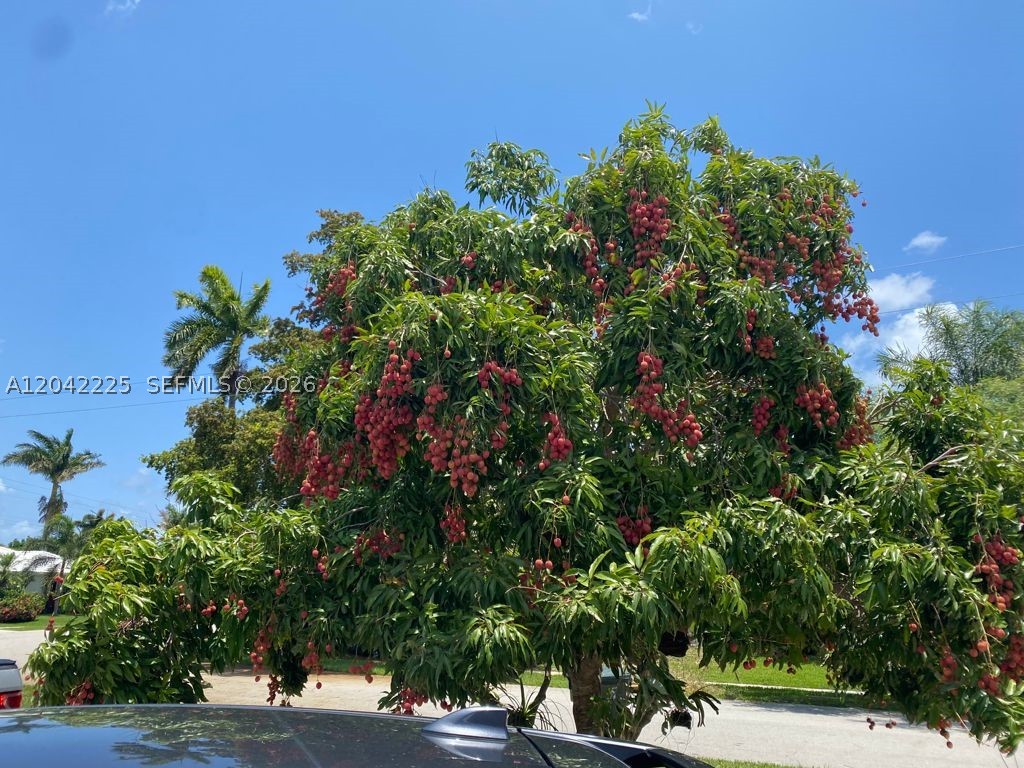 Boca Raton photo 2