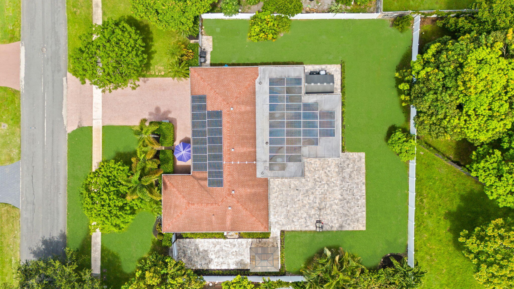 Plantation photo 4