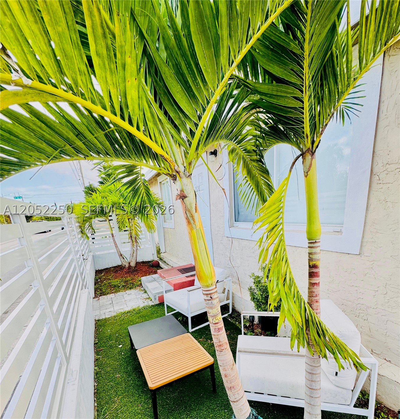 Miami photo 3