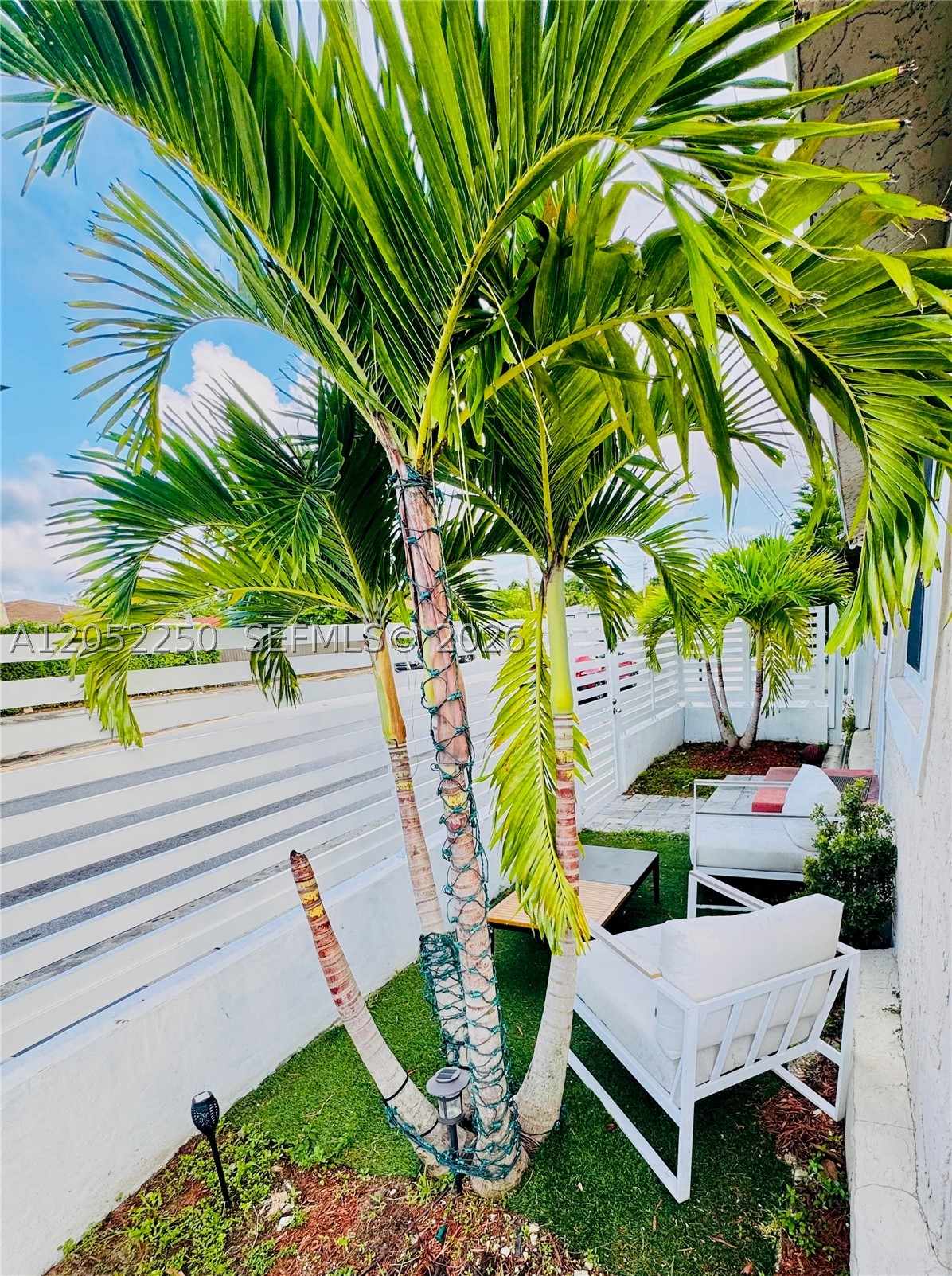 Miami photo 4