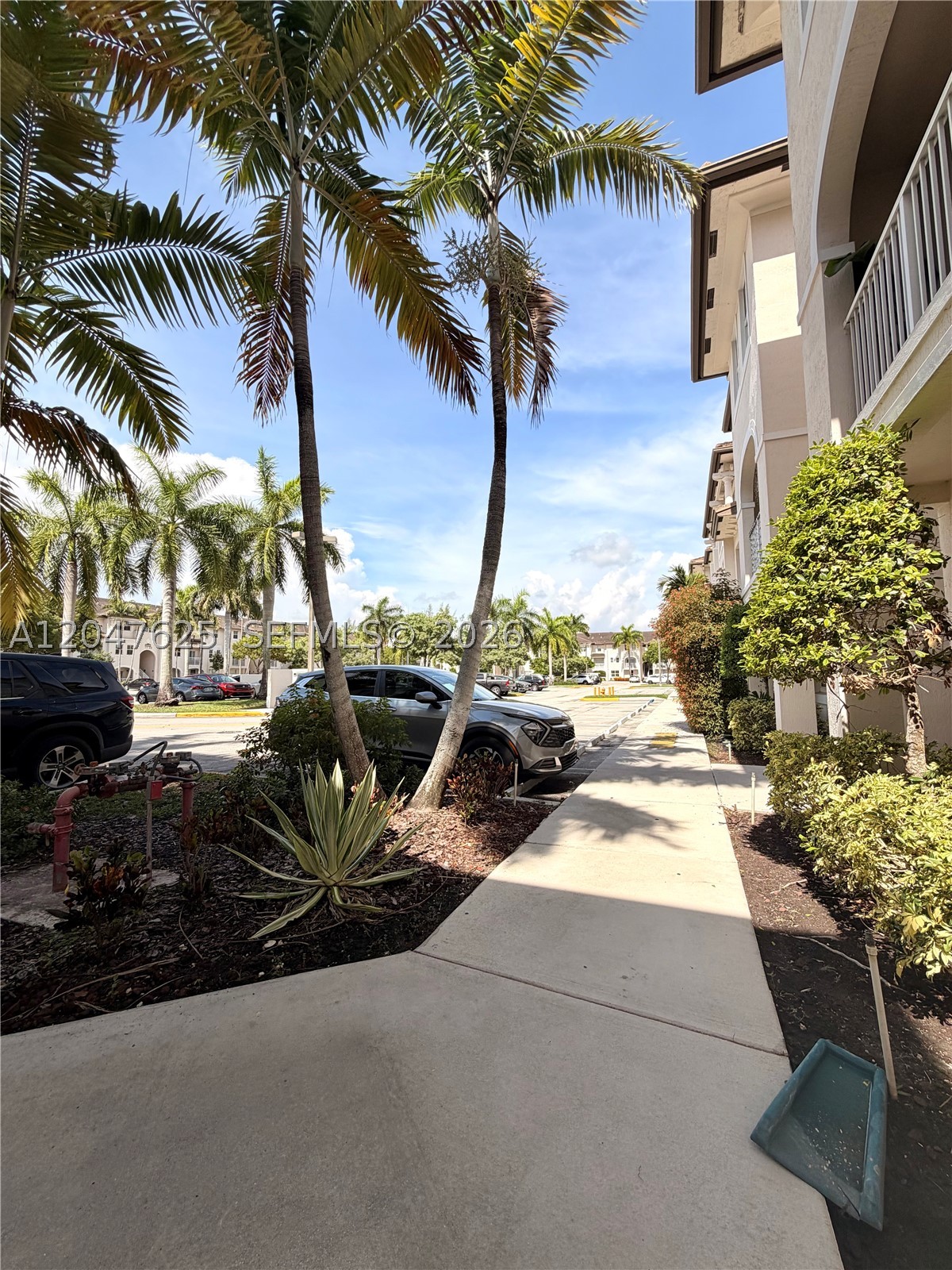 Doral photo 2