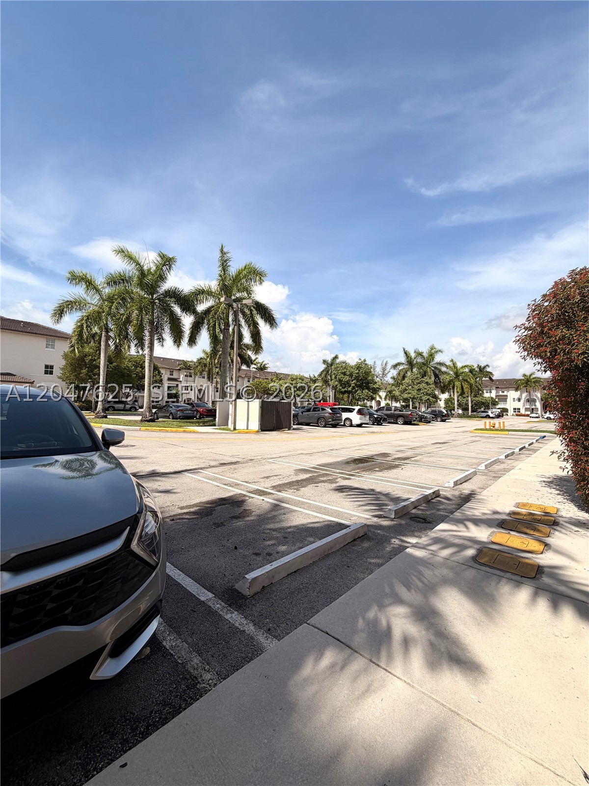 Doral photo 3