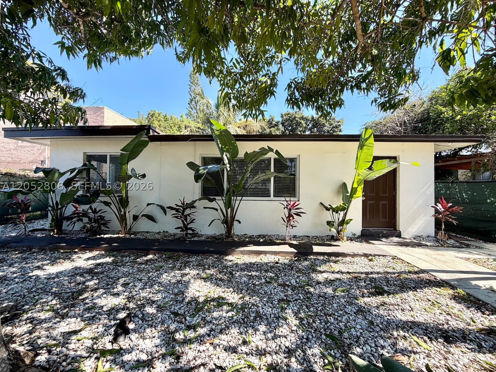 Miami photo 3
