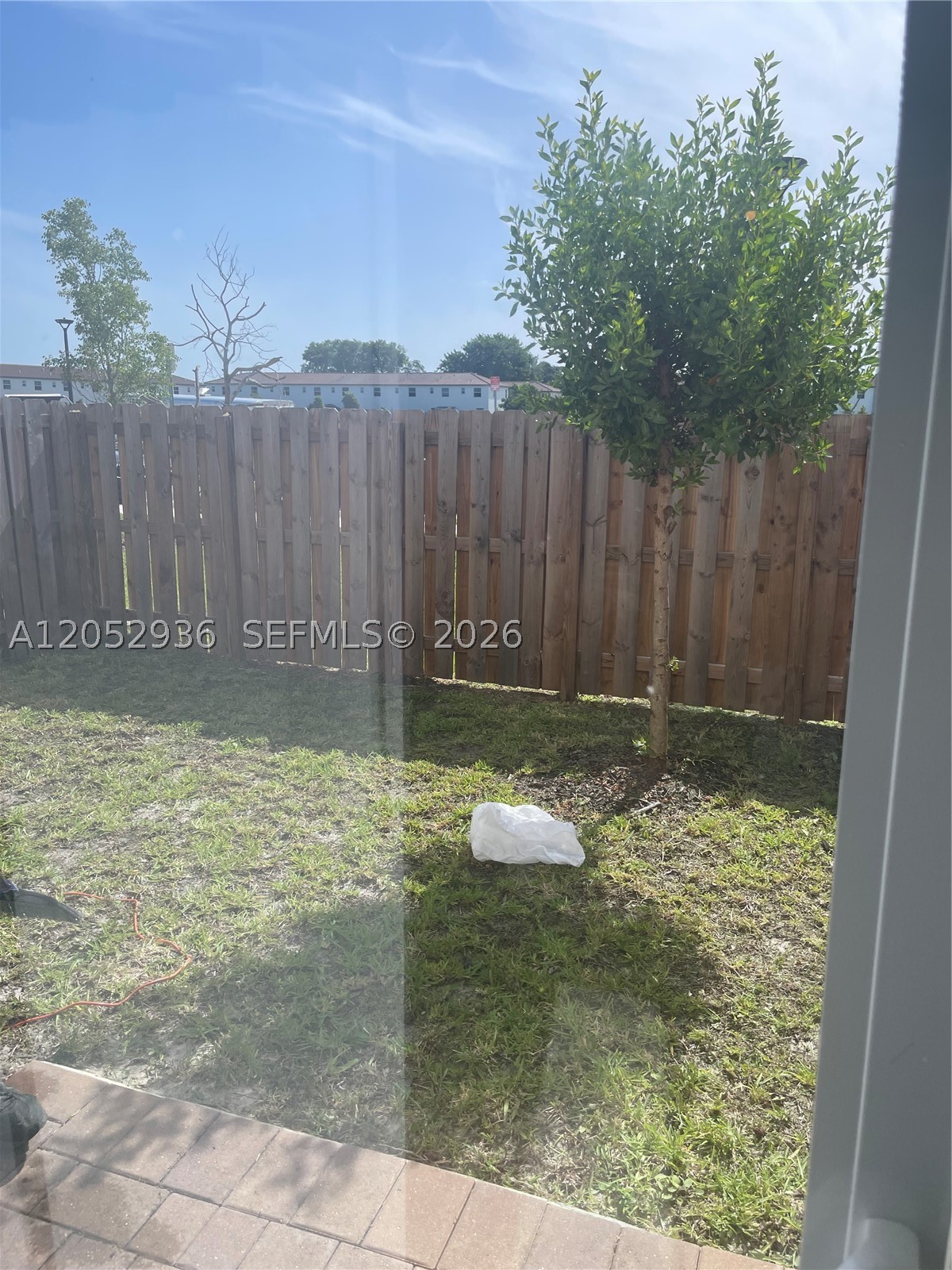 Miami photo 4