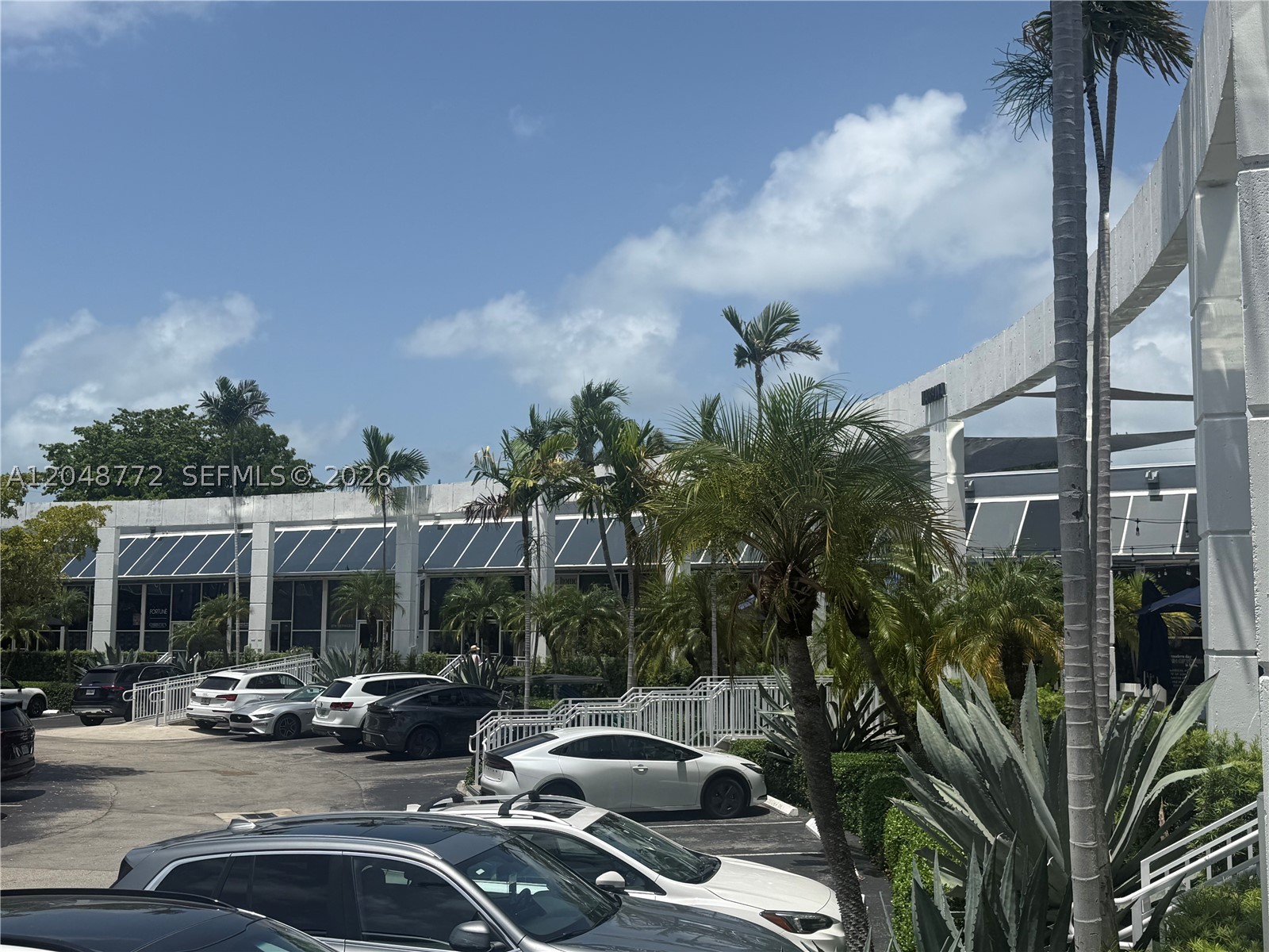 Key Biscayne photo 3