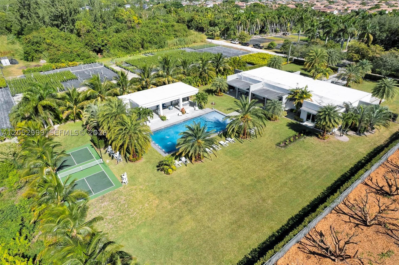 Miami photo 5