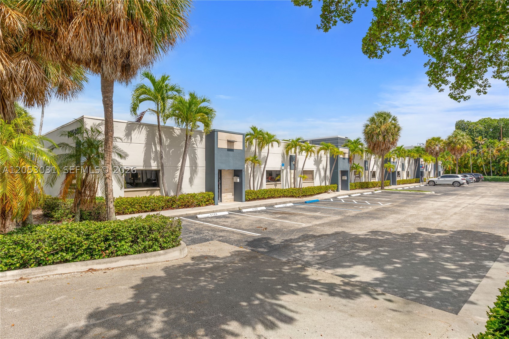 Doral photo 5
