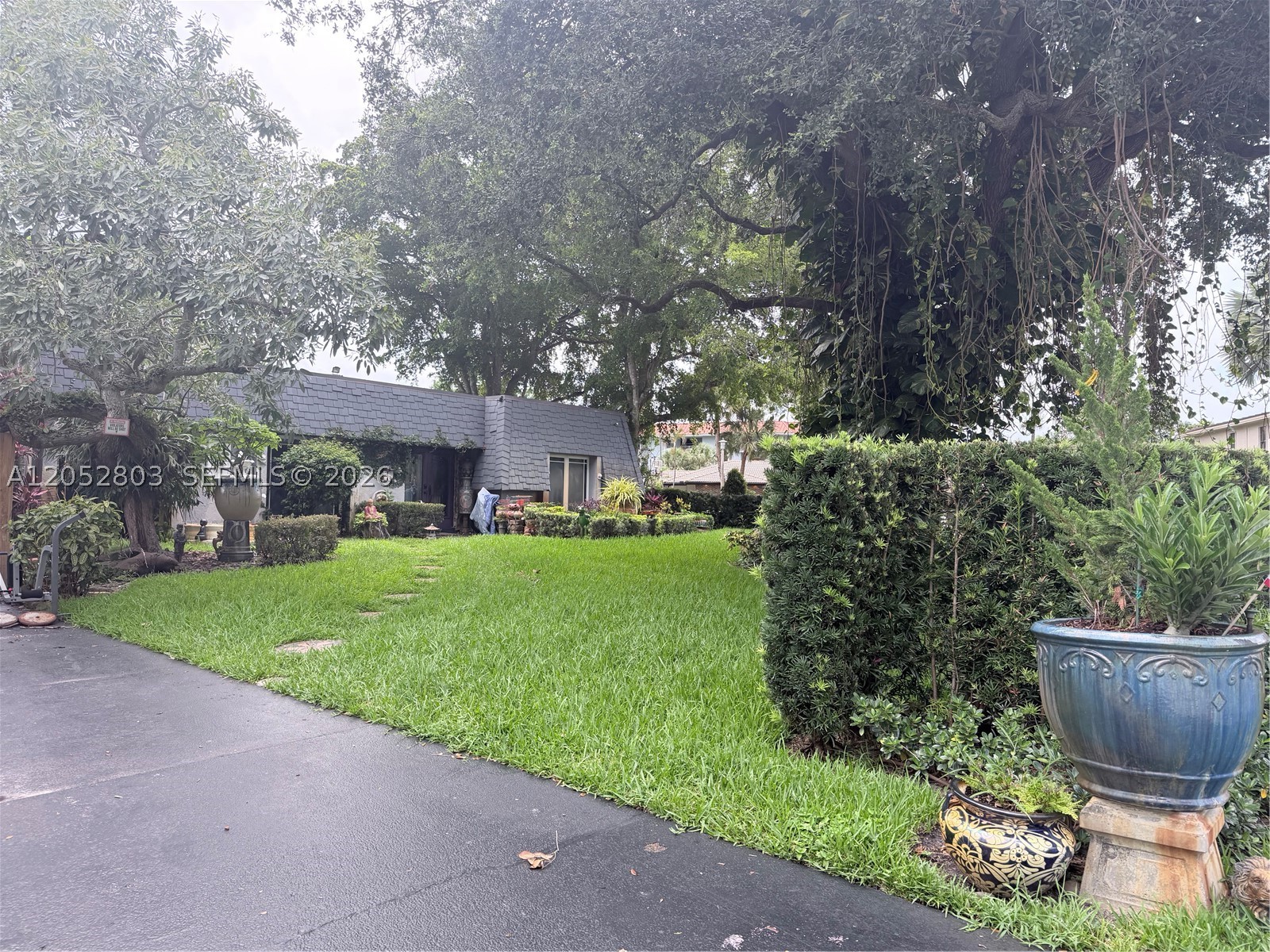 Plantation photo 1
