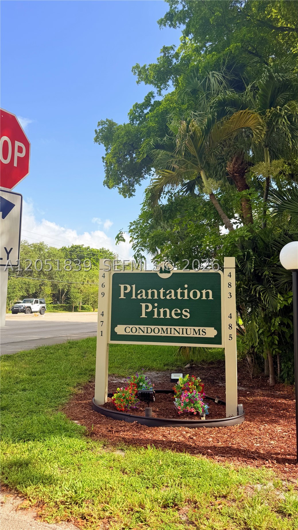 Plantation photo 1