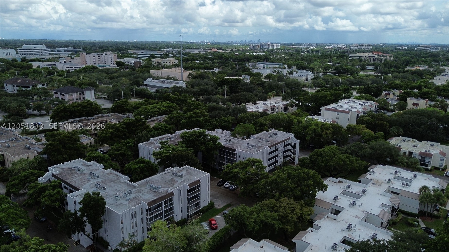 Plantation photo 2