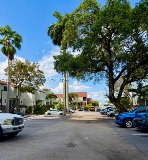 Miami photo 3
