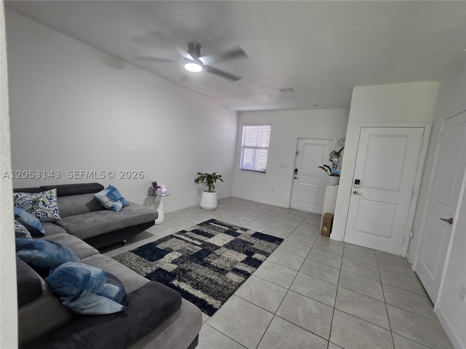 Miami photo 4