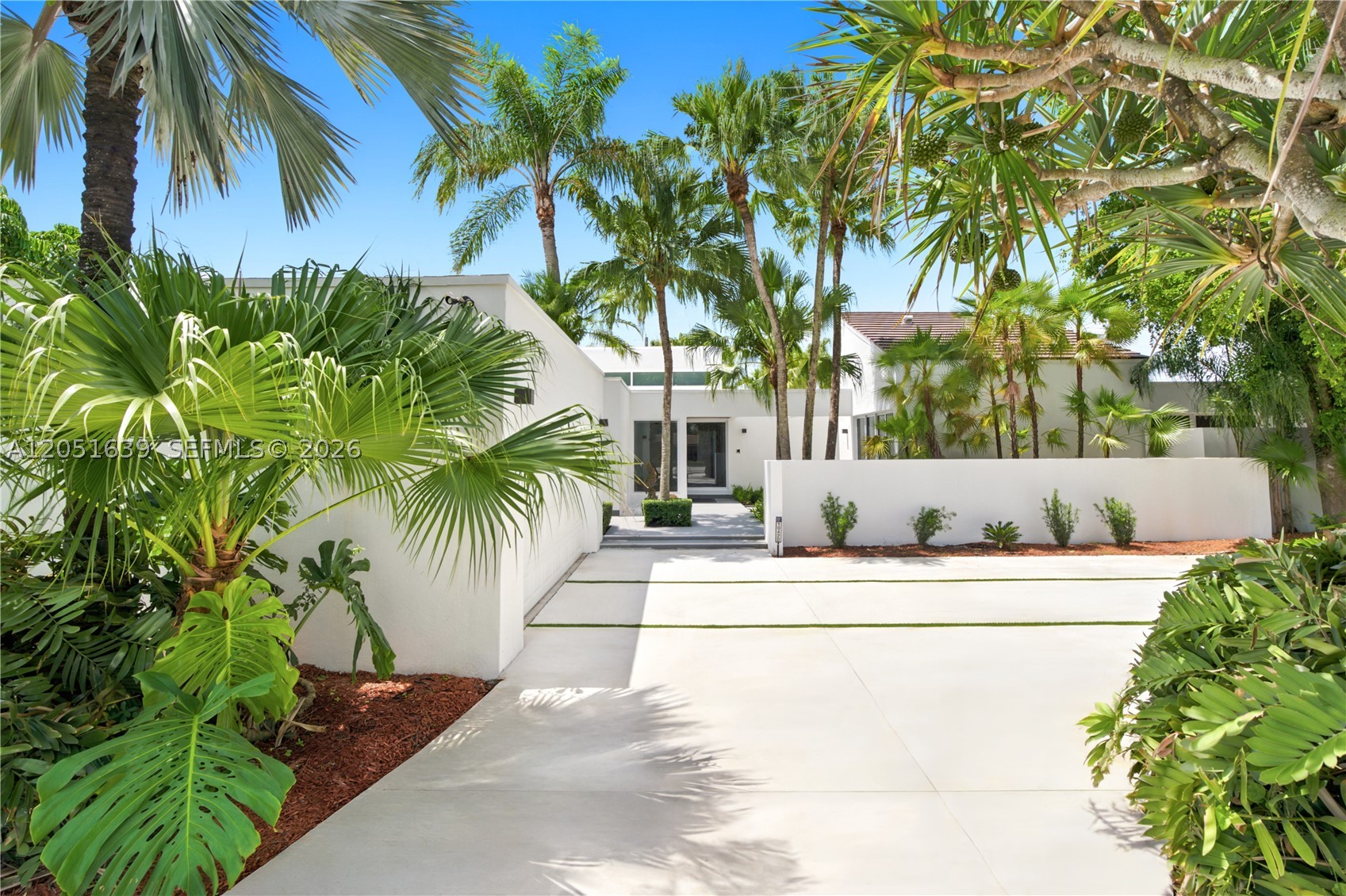Miami photo 2