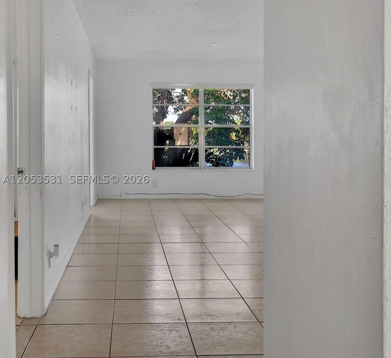 Miami photo 5