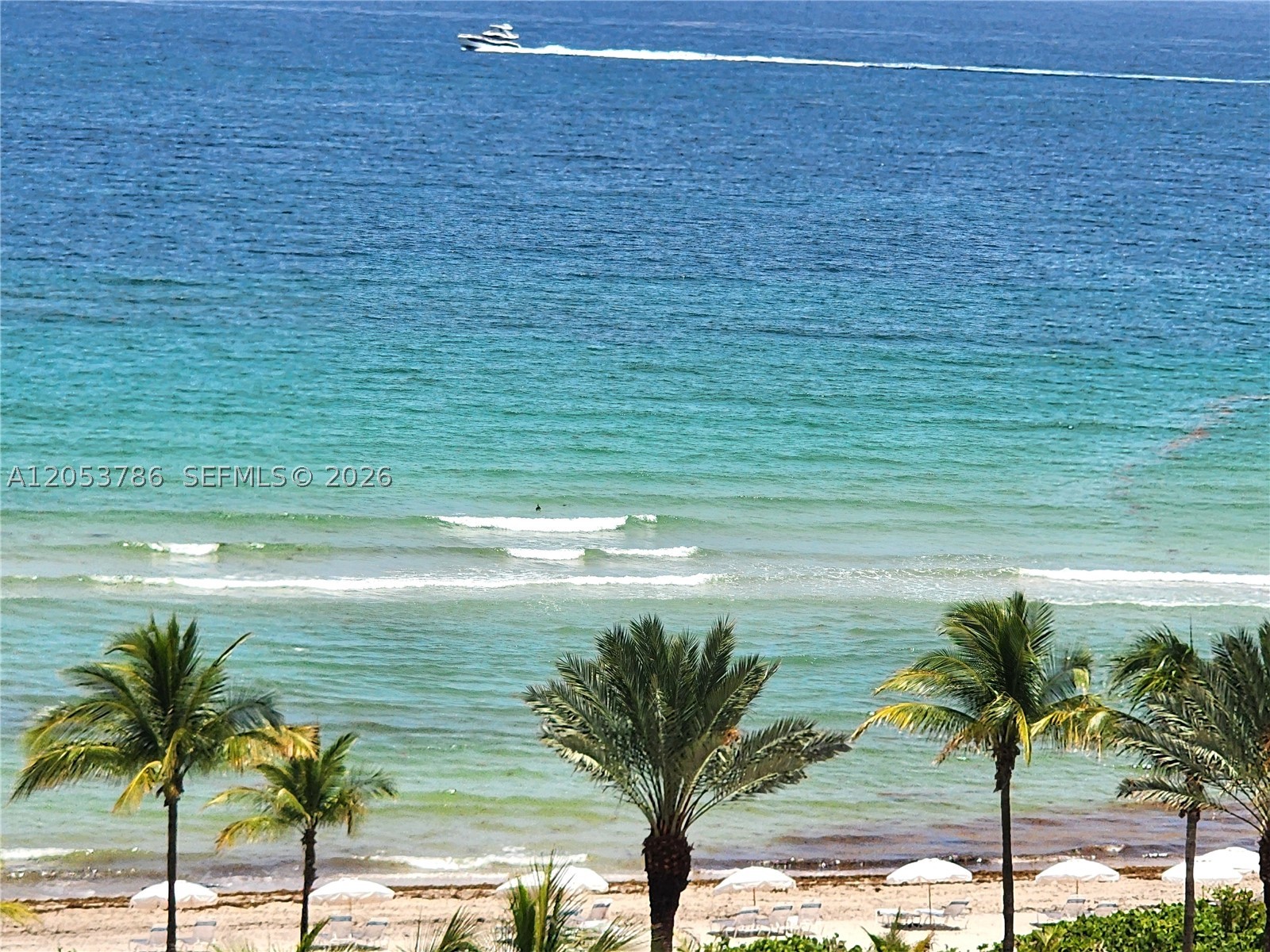 Hallandale Beach photo 3