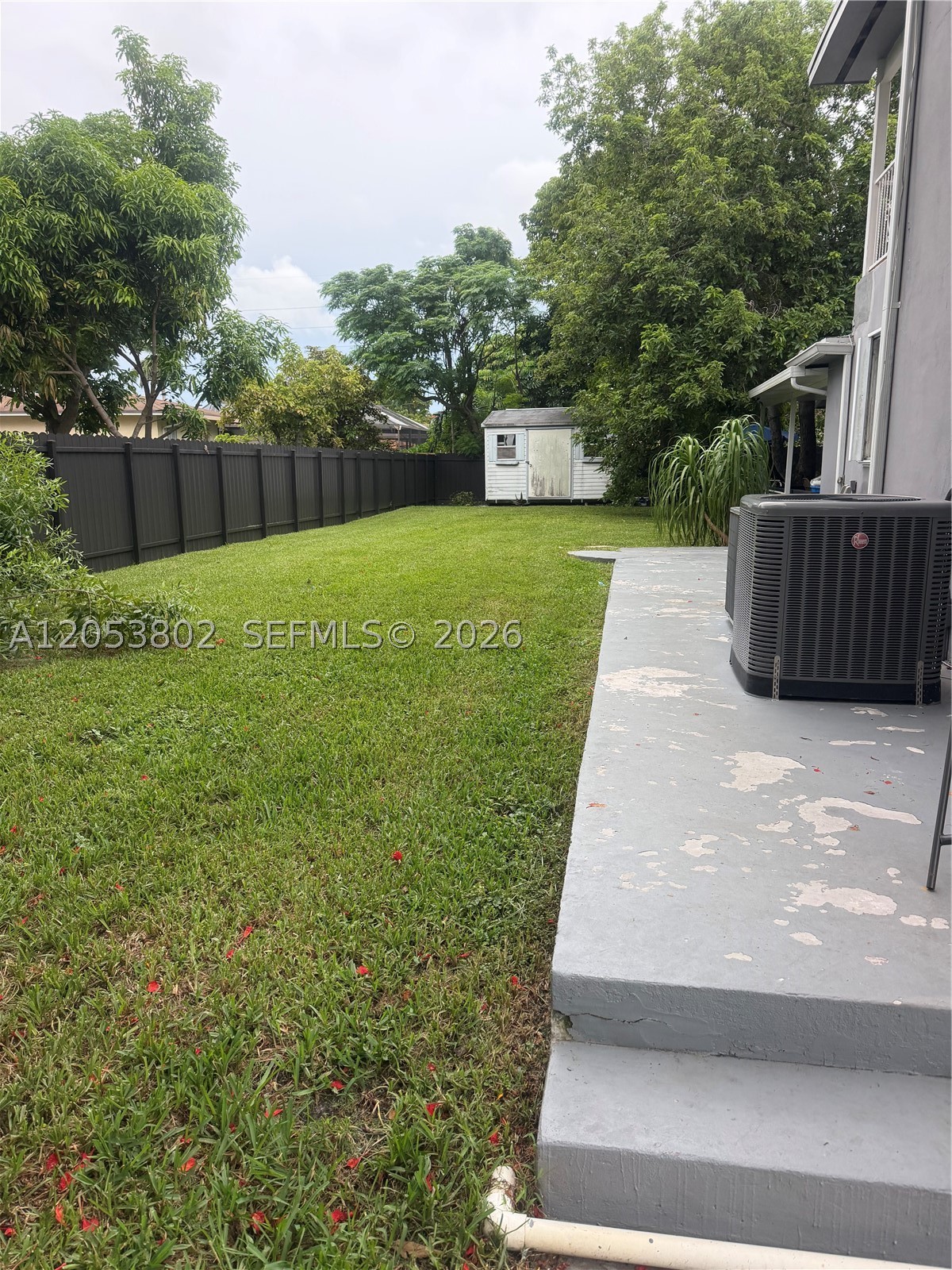 Miami photo 3