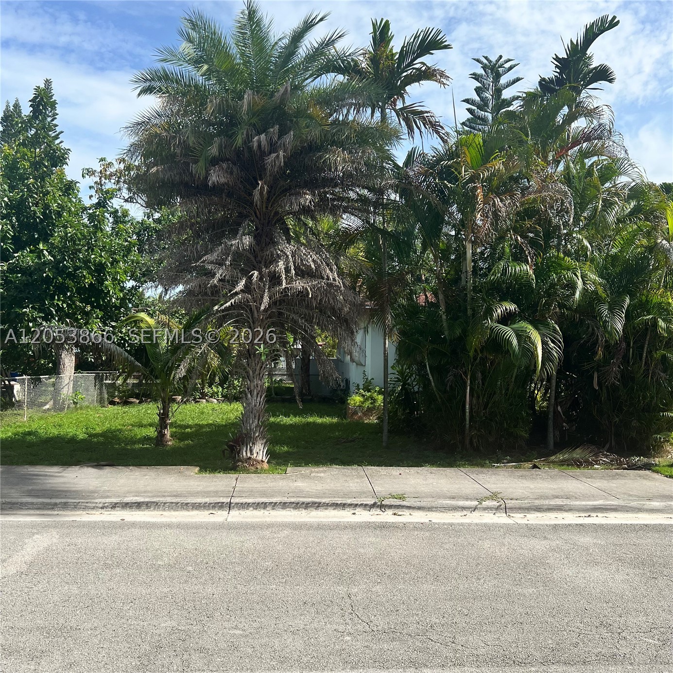 North Miami Beach photo 2