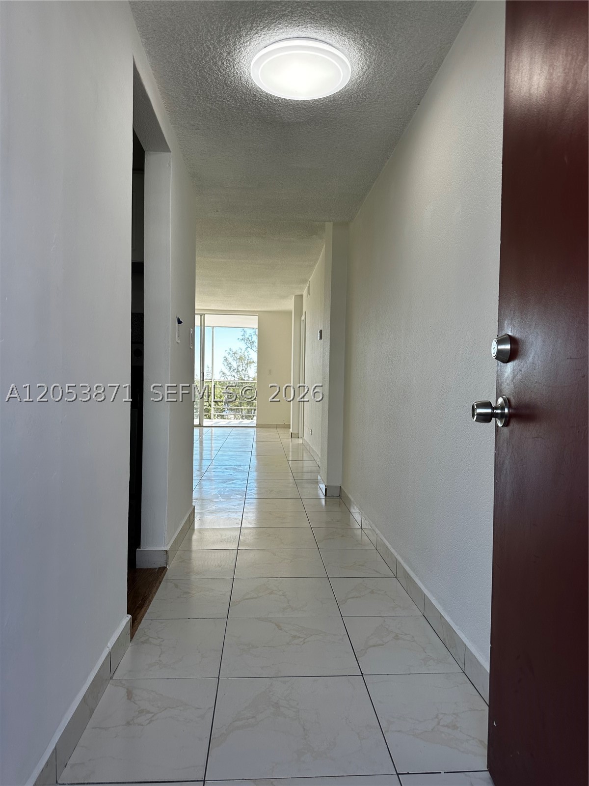 North Miami Beach photo 4
