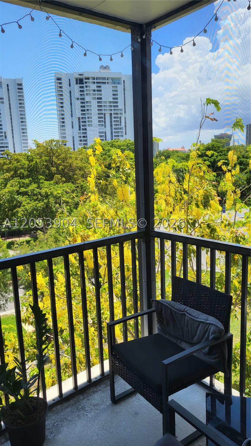 Aventura photo 5