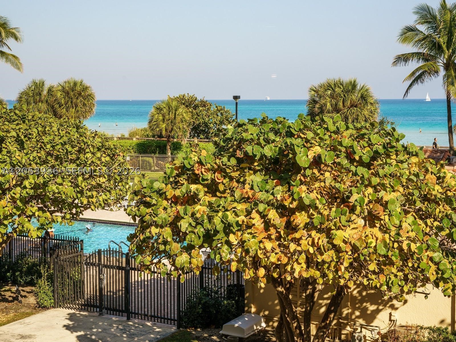 Miami Beach photo 3