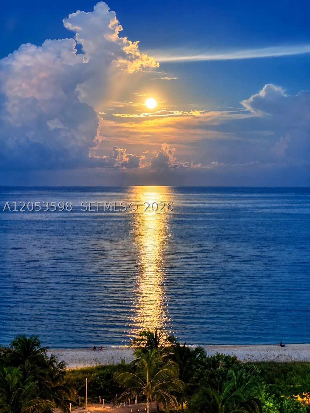 Miami Beach photo 4