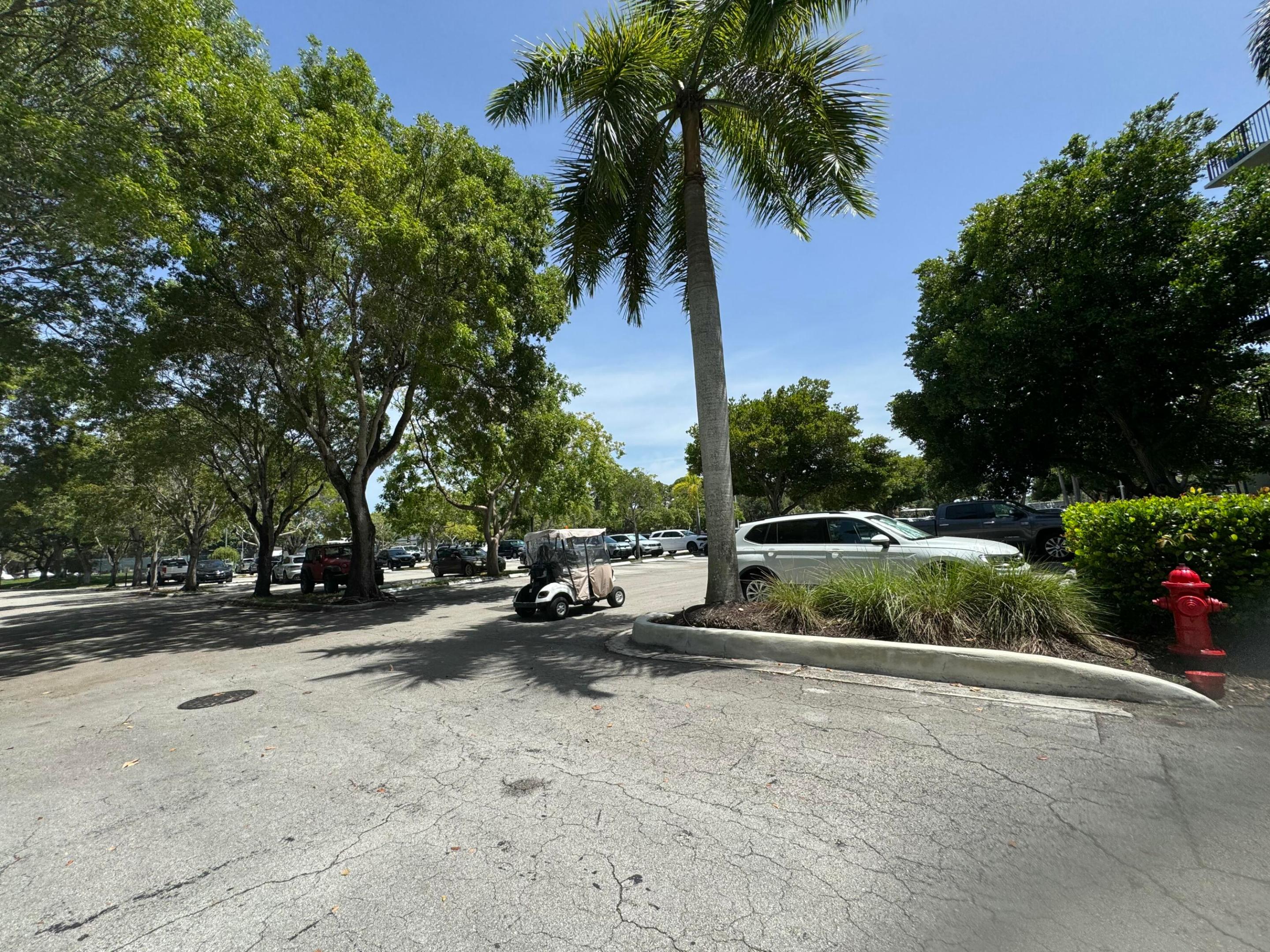 Fort Lauderdale photo 5