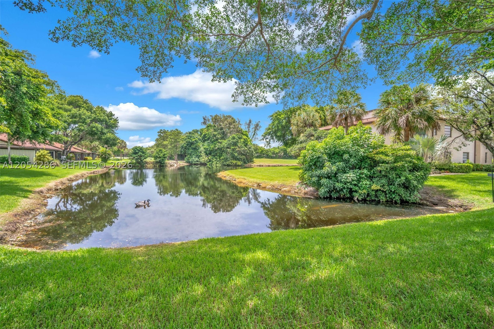 Boca Raton photo 4