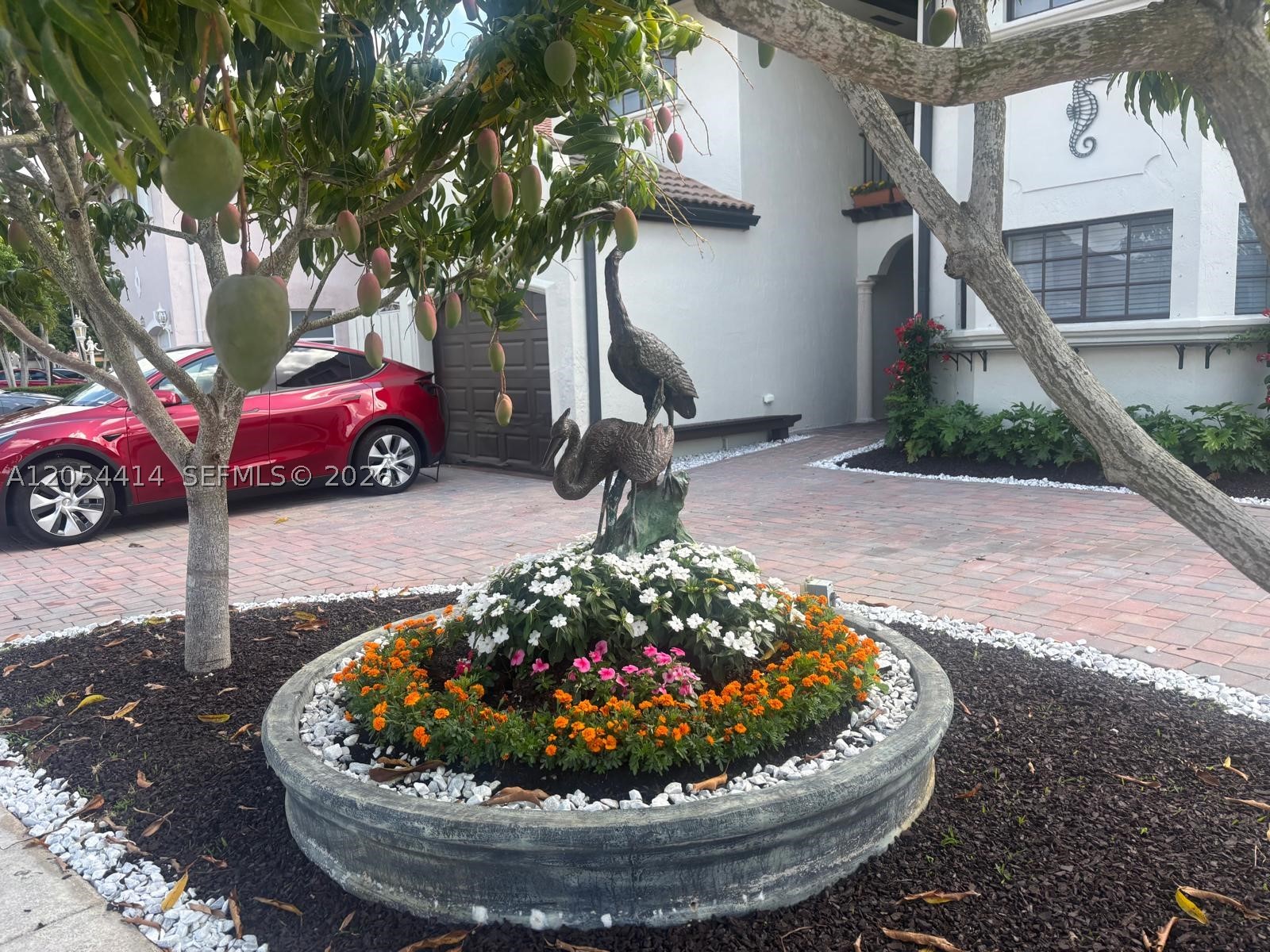 Miami photo 2