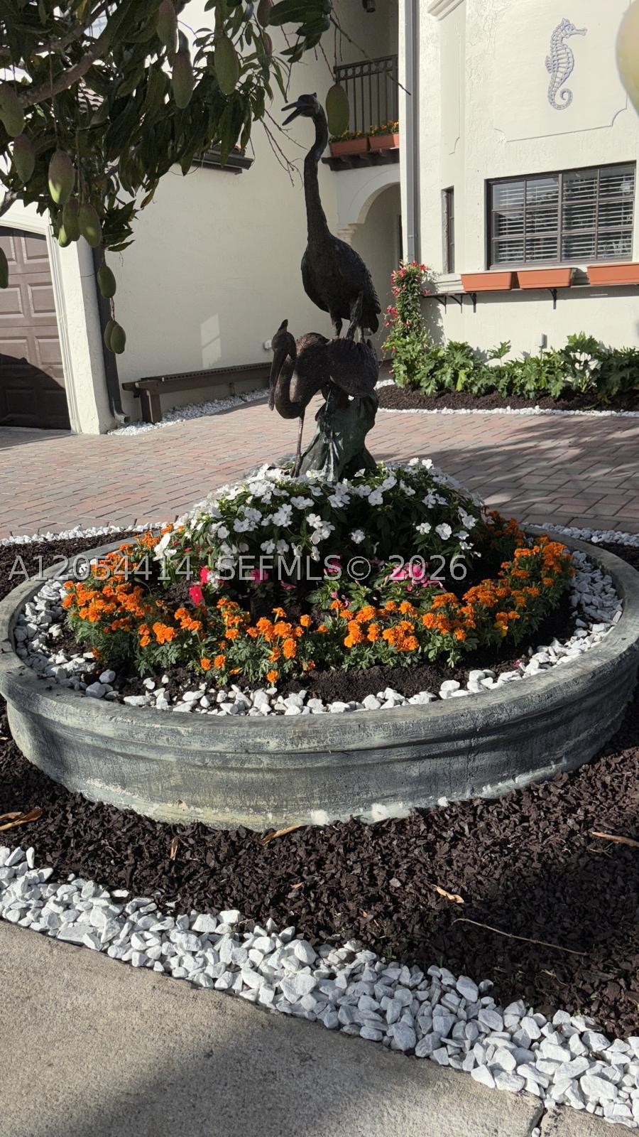 Miami photo 3