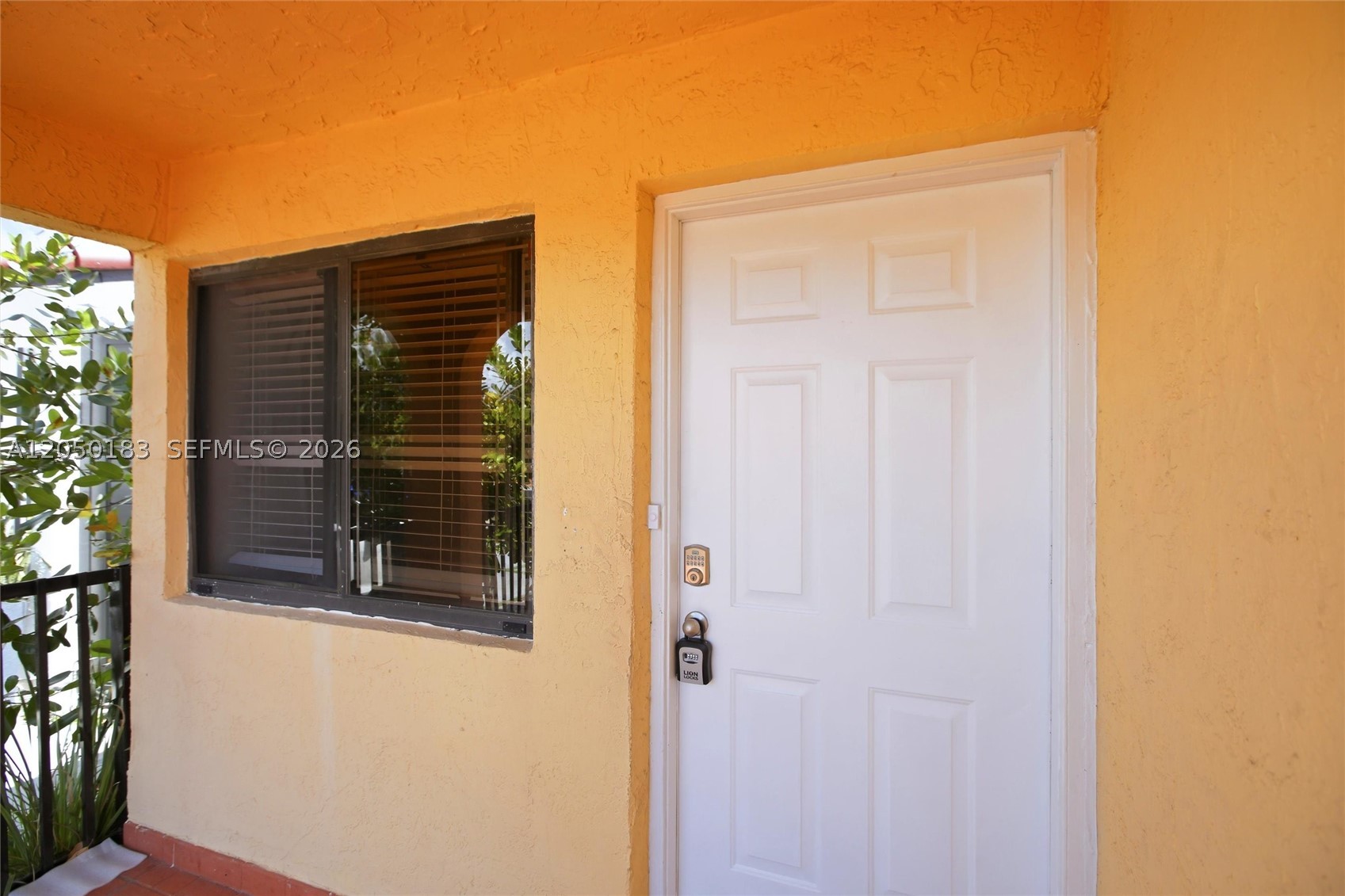 Hialeah photo 4