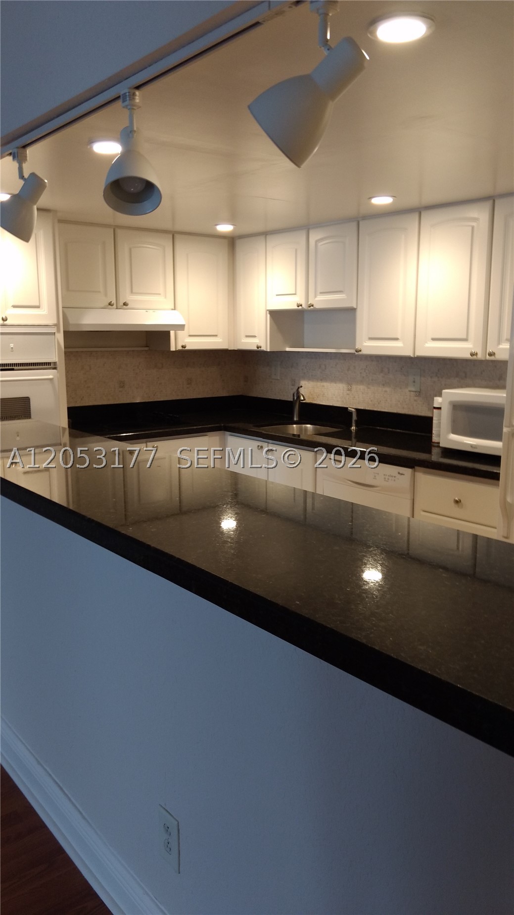 Sunny Isles Beach photo 1