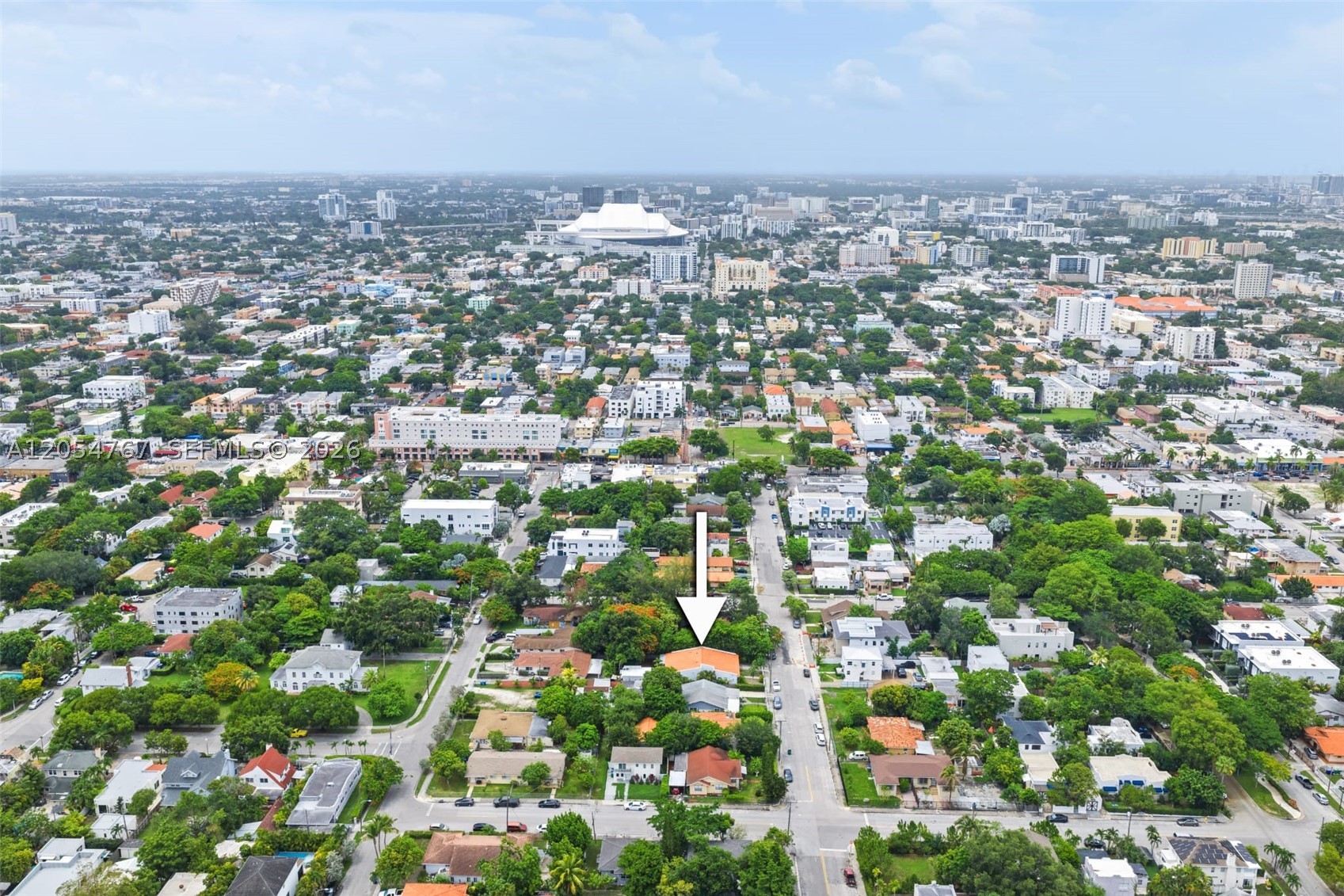 Miami photo 5