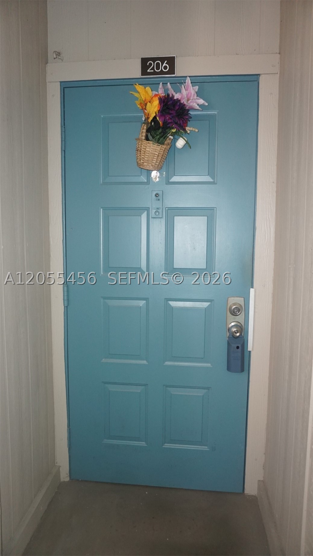 Pembroke Pines photo 2