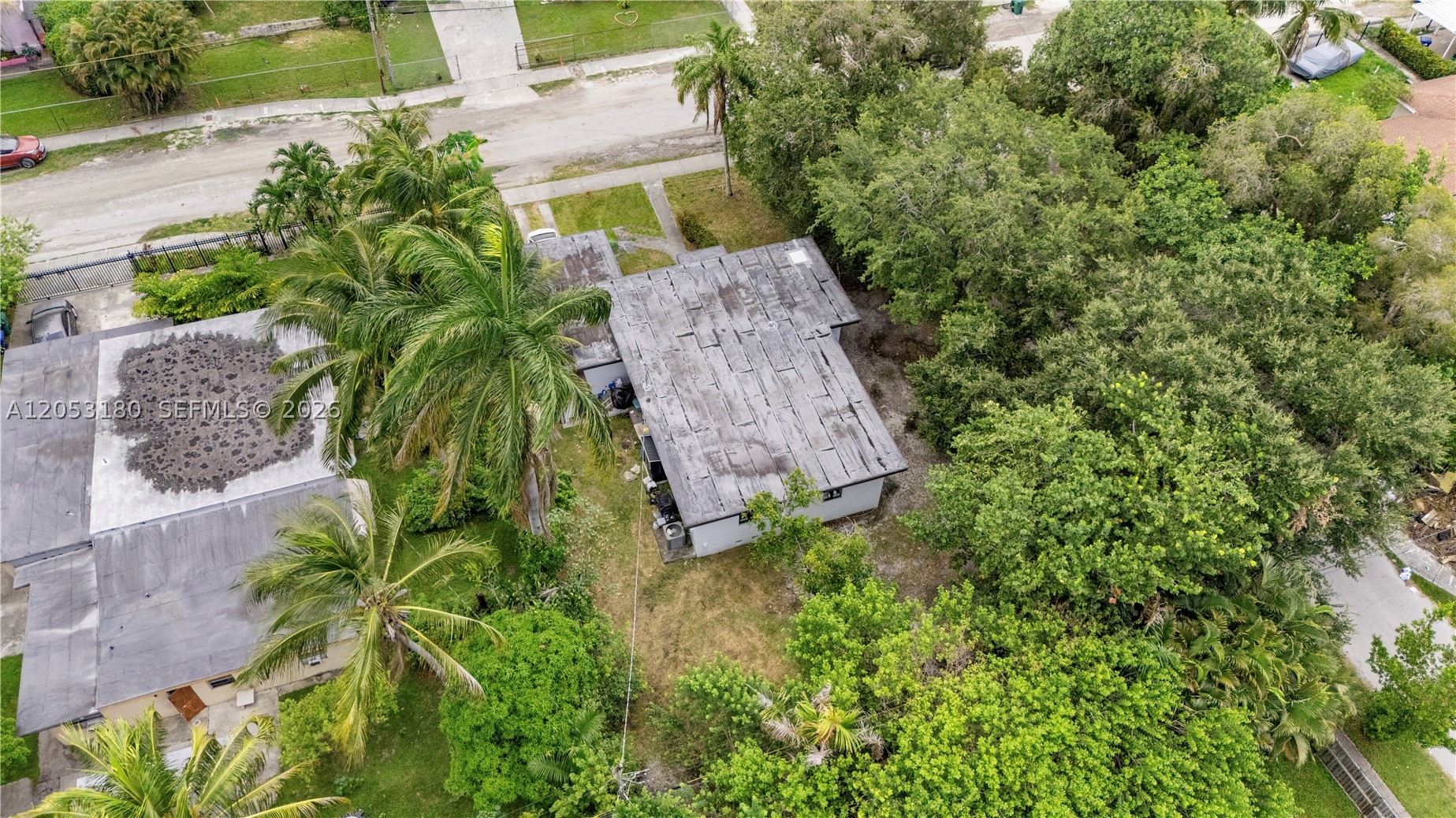 Miami photo 3