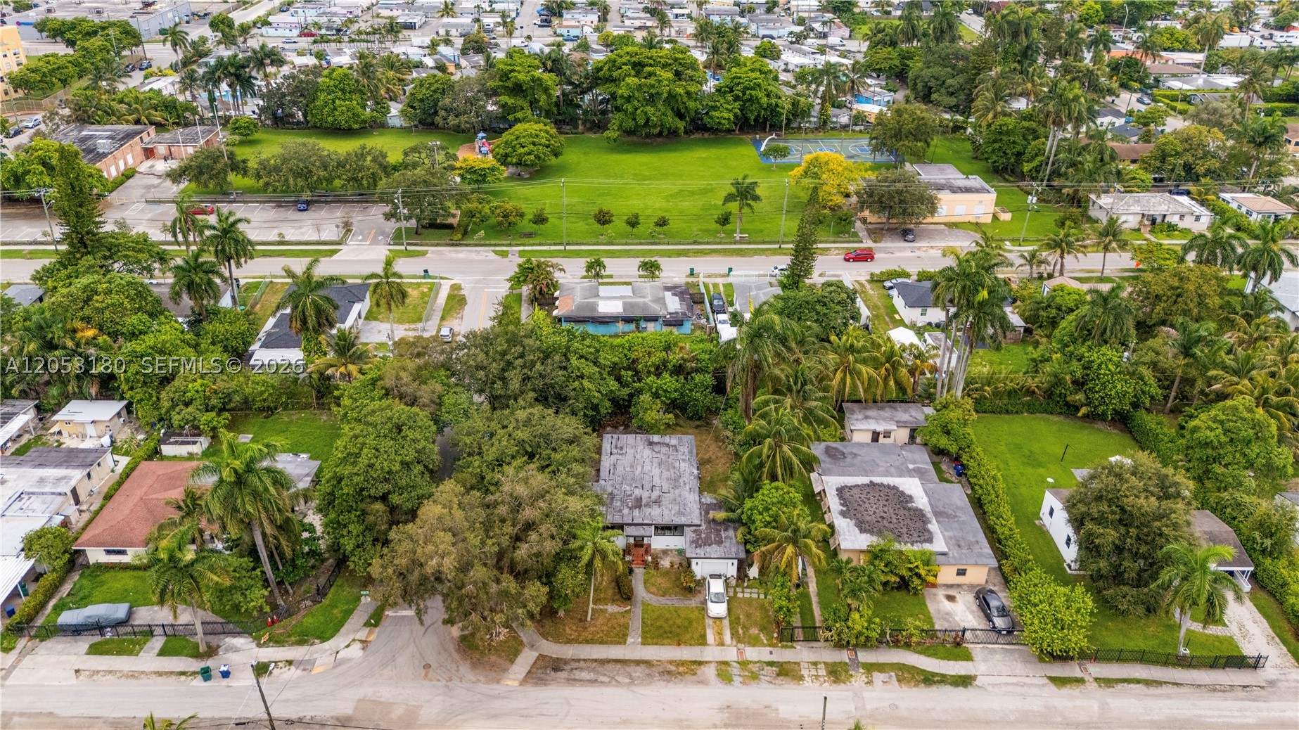 Miami photo 5