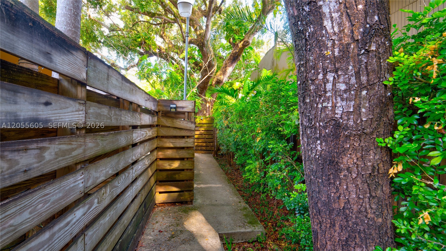 Miami photo 4