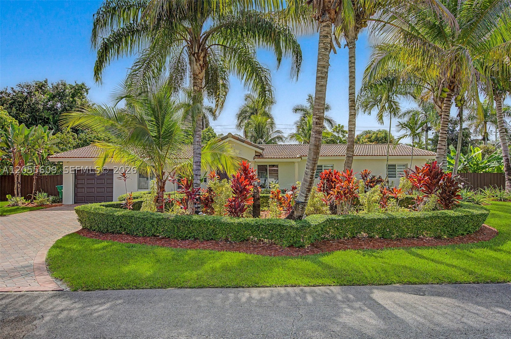 Miami photo 2