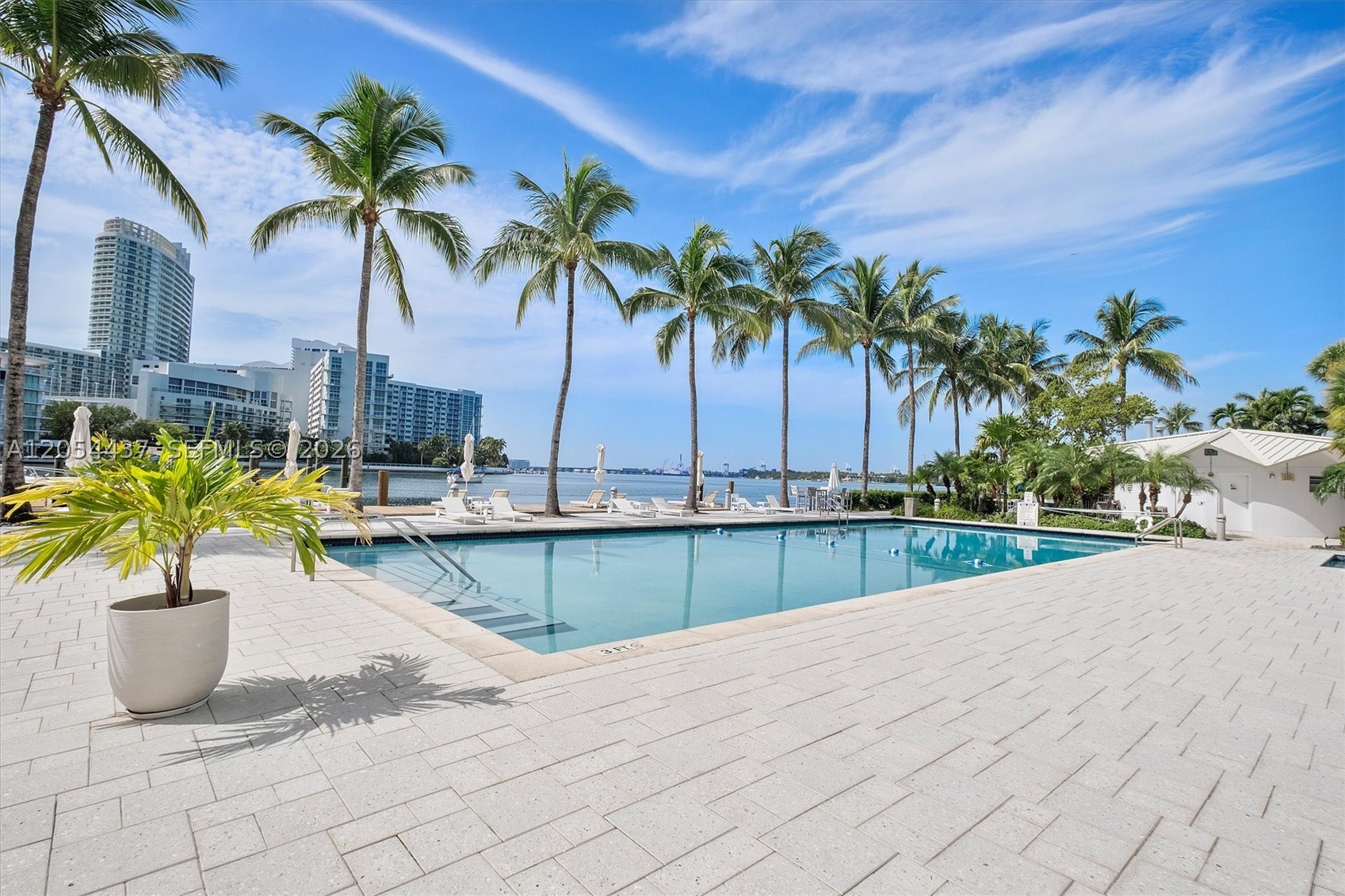 Miami Beach photo 4