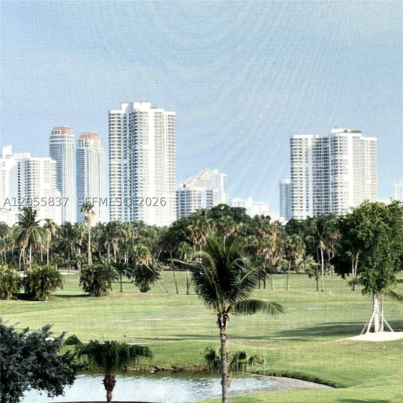 Aventura photo 5