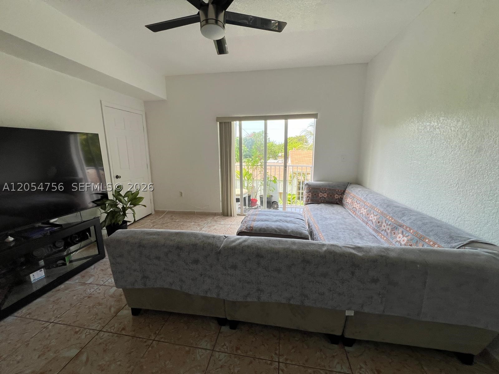 Miami photo 3