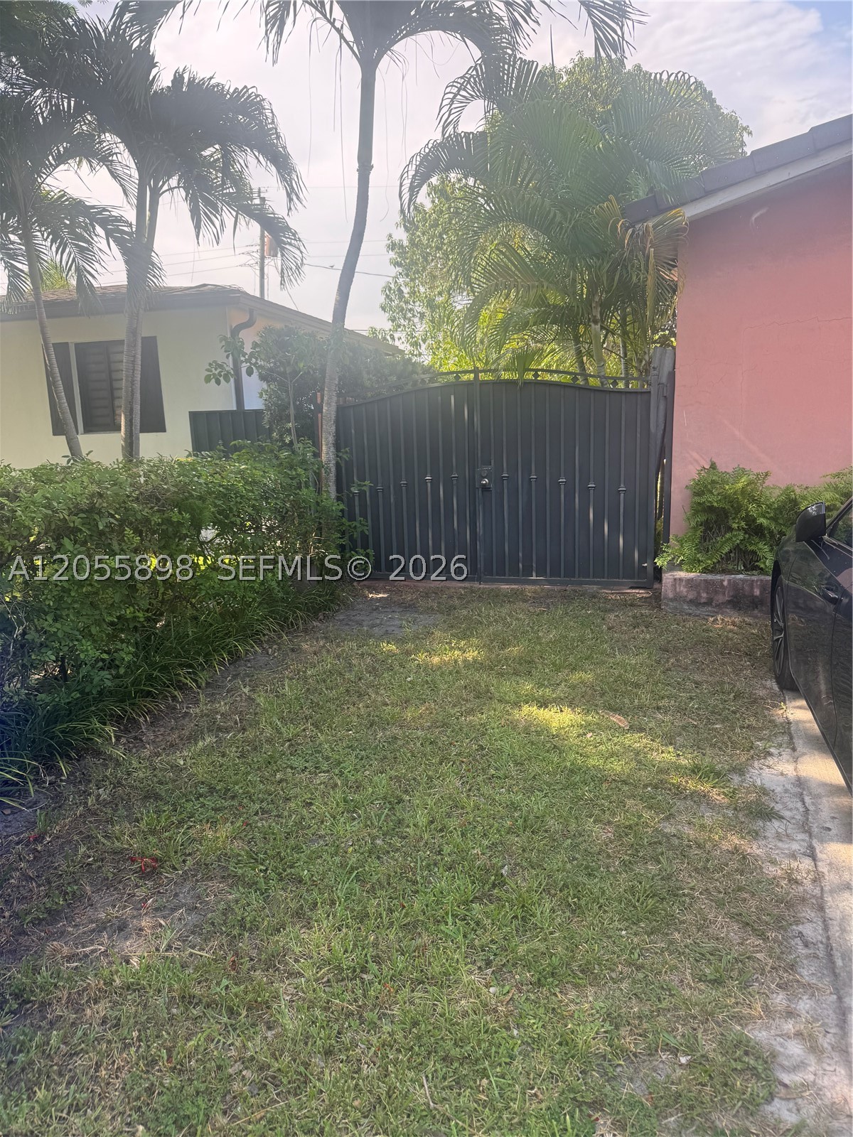 Miami photo 2