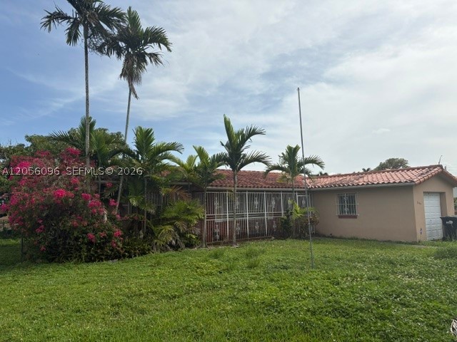 Miami photo 2