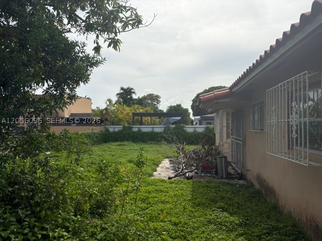 Miami photo 4
