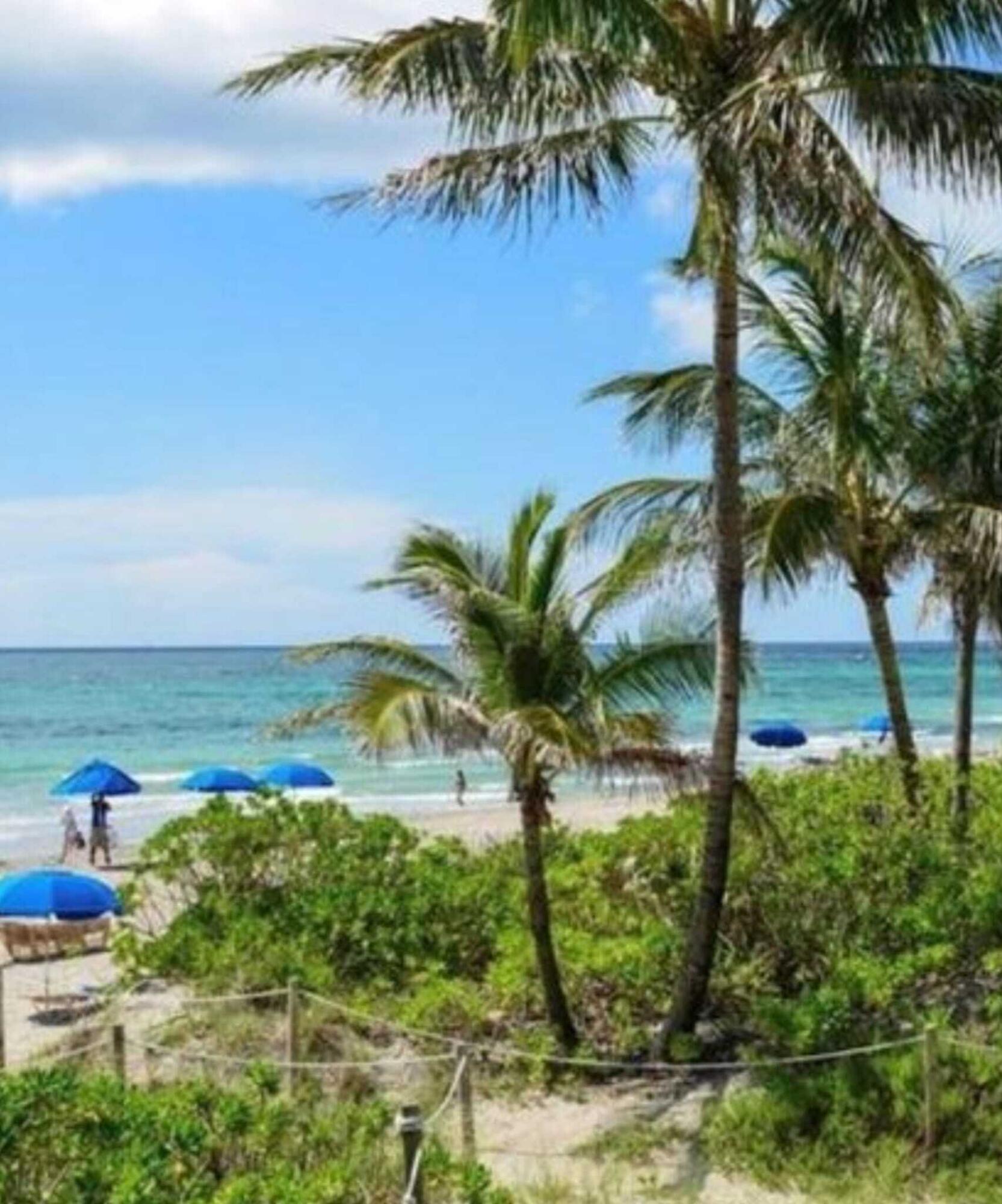 Hallandale Beach photo 3