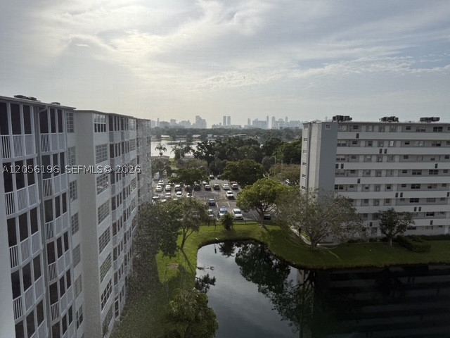 Miami photo 4