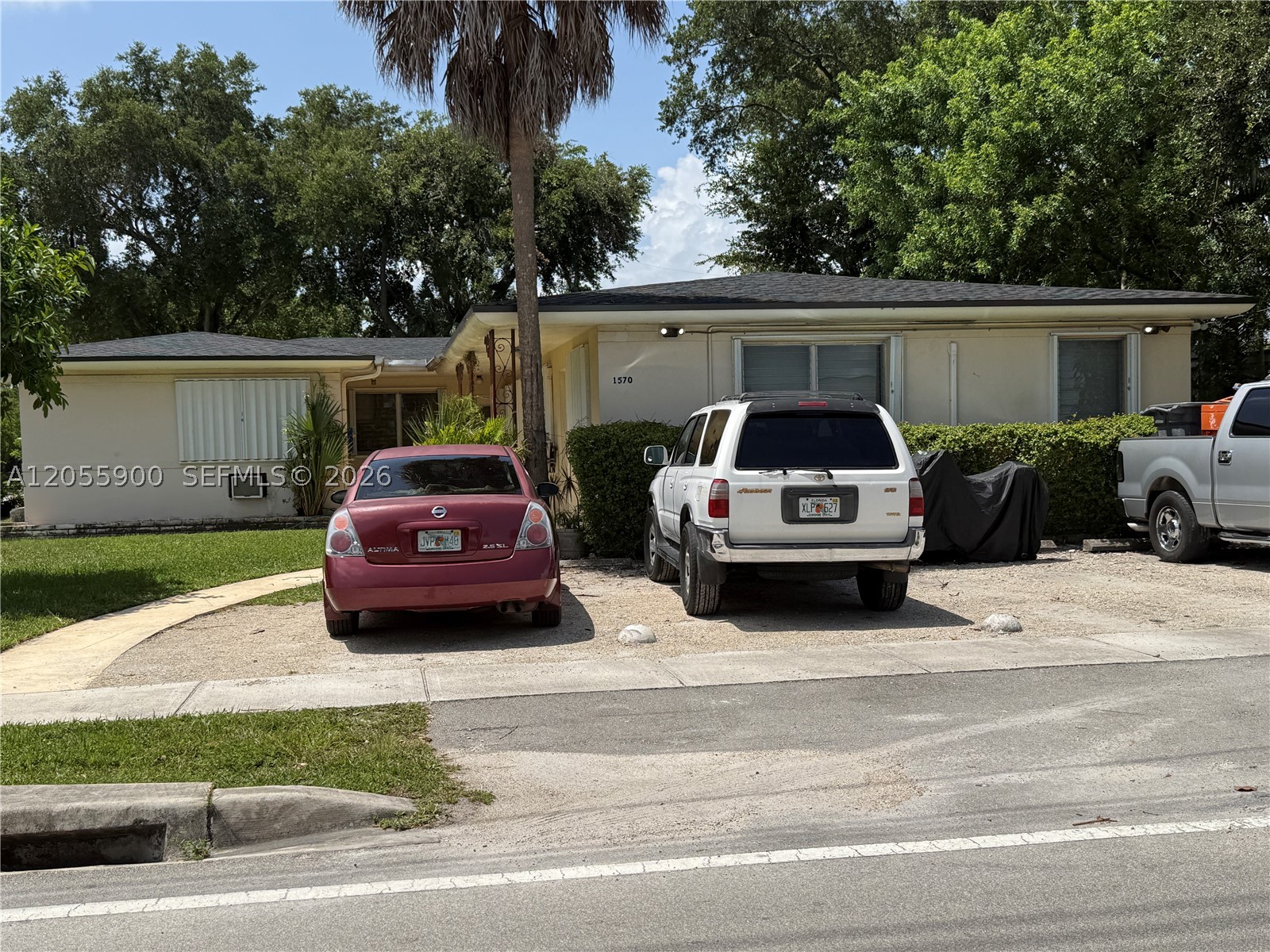 North Miami photo 3