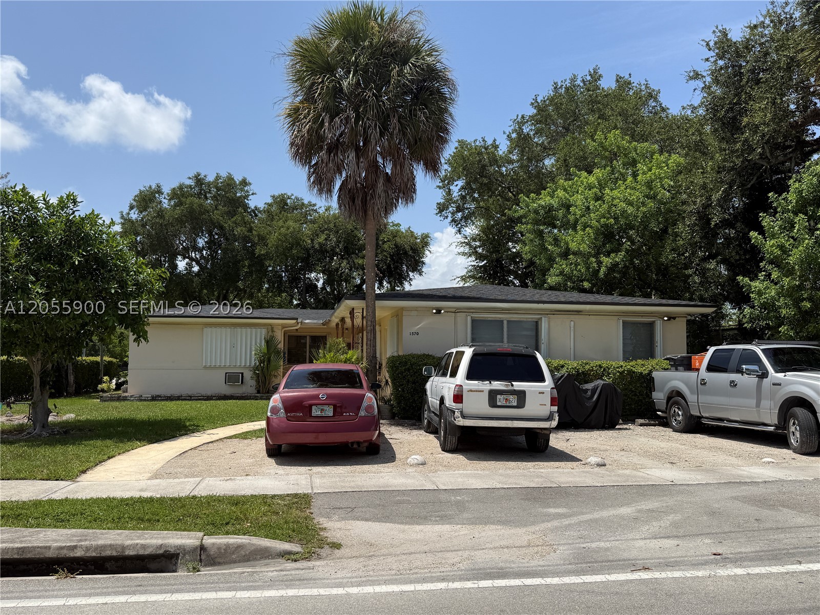 North Miami photo 5