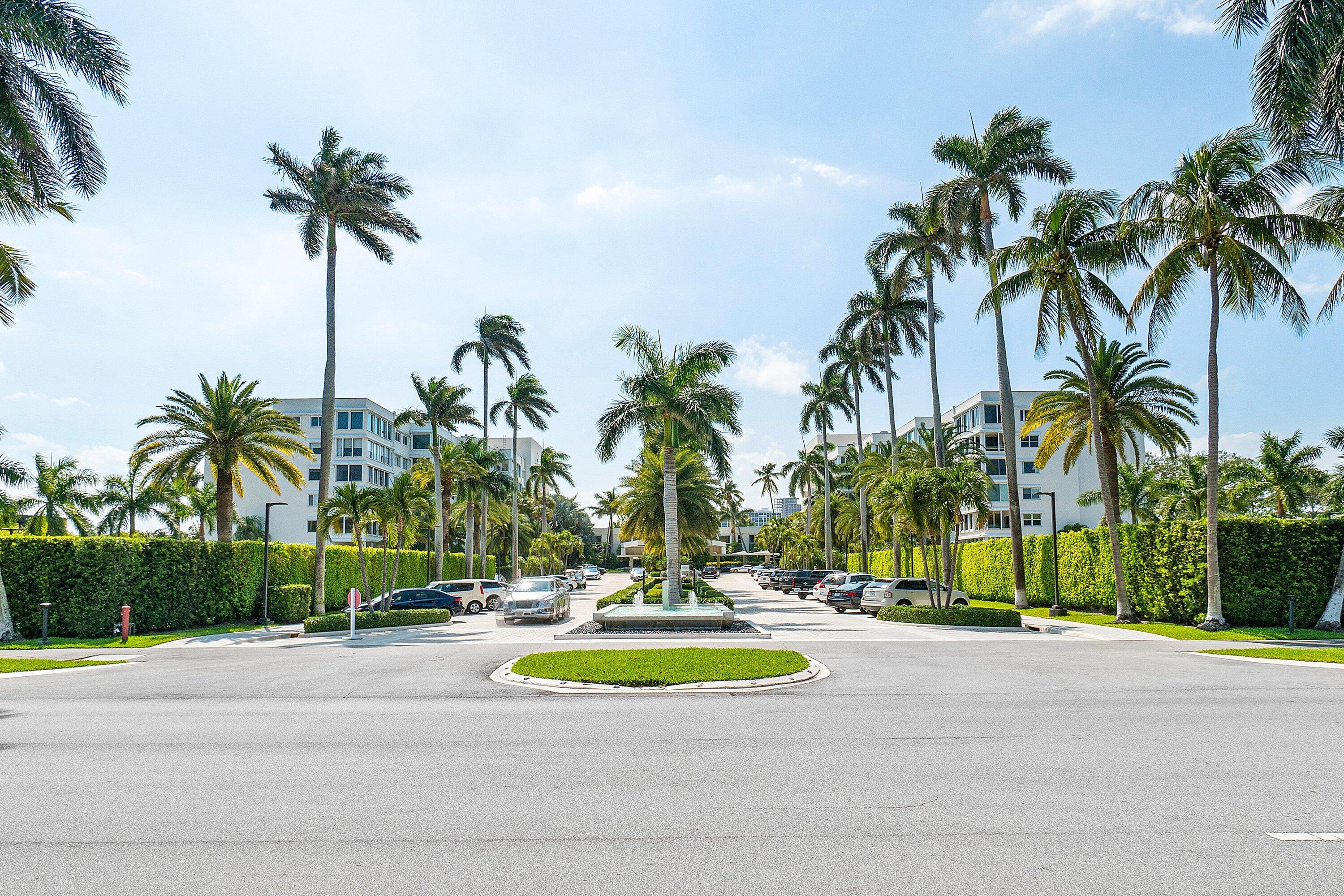 Palm Beach photo 4
