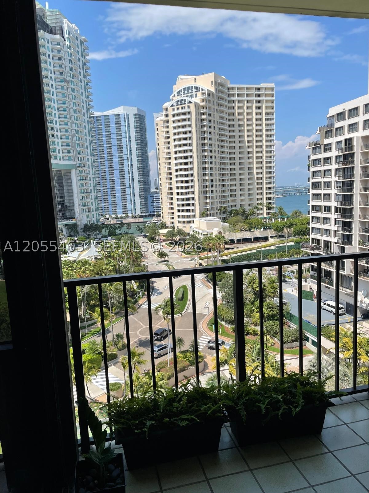 Miami photo 1
